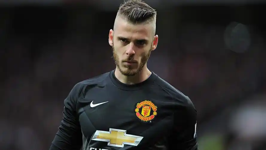 2018西班牙国家男子足球队德赫亚