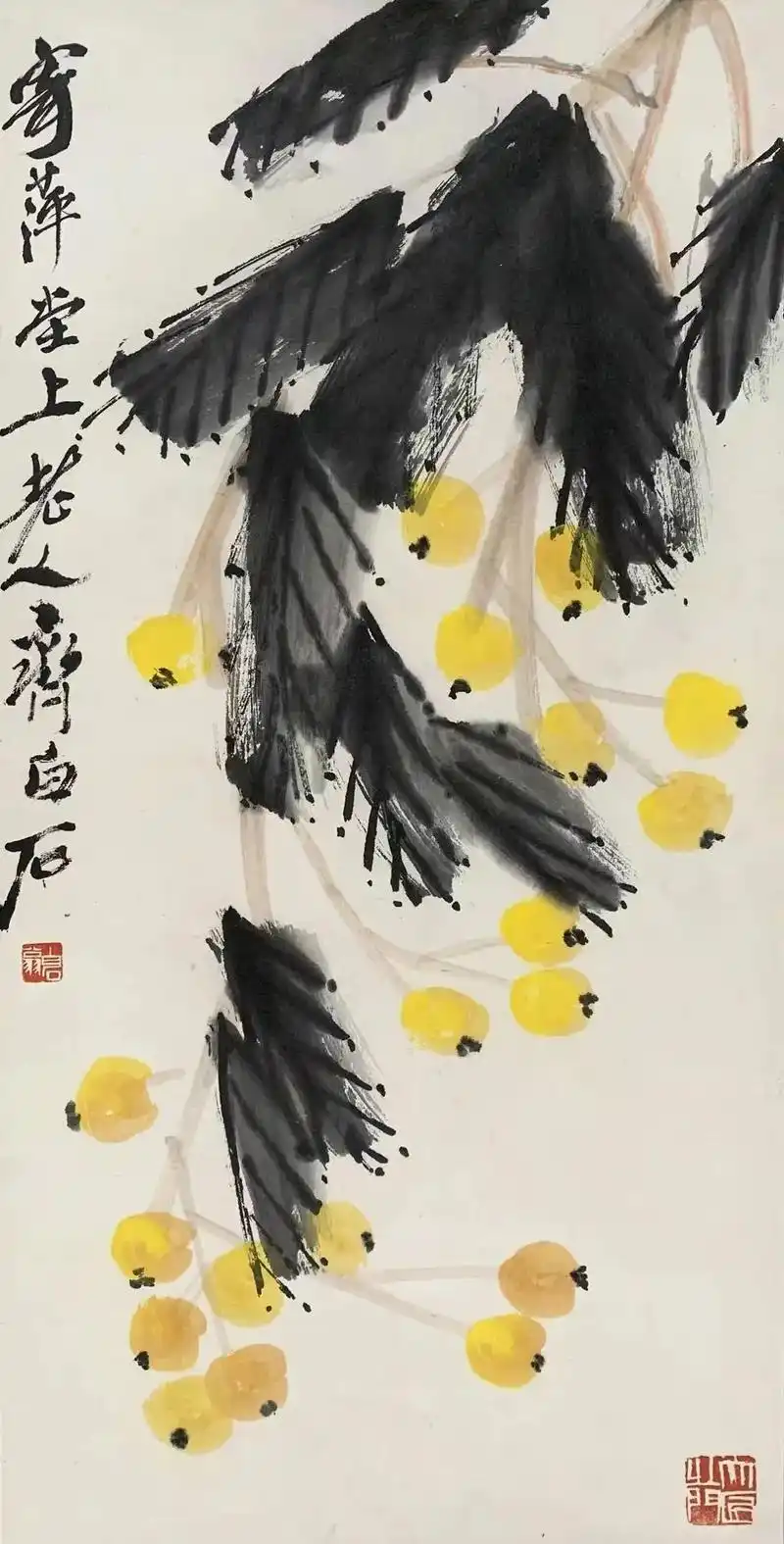 齐白石《枇杷熟了》 .齐白石《枇杷熟了》 立轴 设色纸本   - 抖音