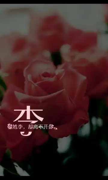 姓氏壁纸#李#@你注定是我触摸不到的光