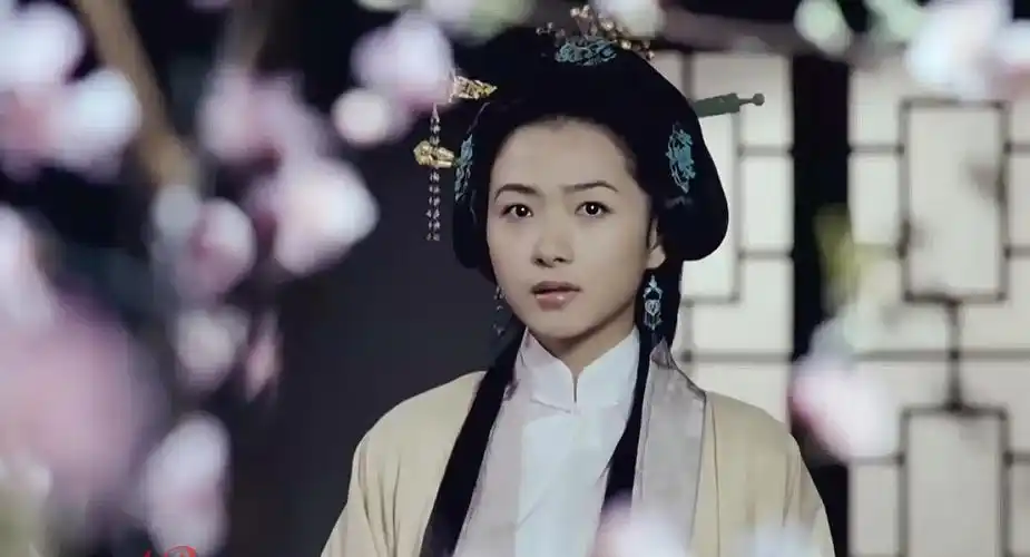 柳如是有着深厚家国情怀和政治抱负的秦淮八艳之首