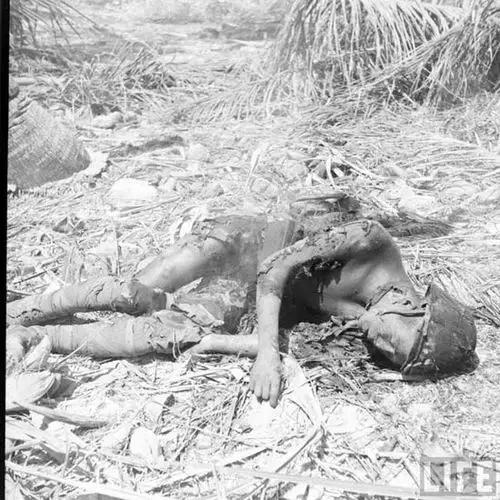 东南亚战场暴尸荒野的日军尸体