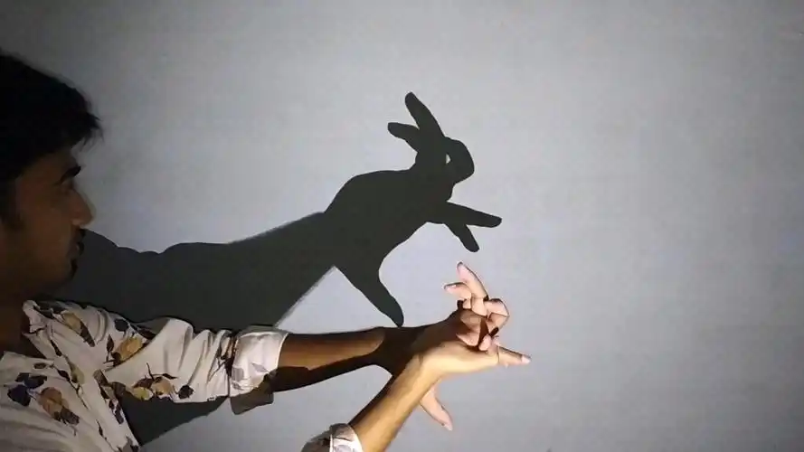 手影表演:国外小伙仅用手表演出各种动物!