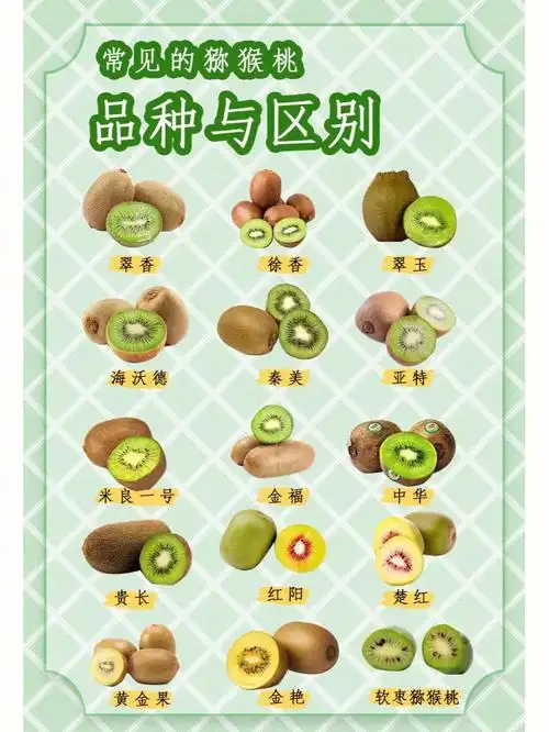 翠香徐香亚特傻傻的分不清楚