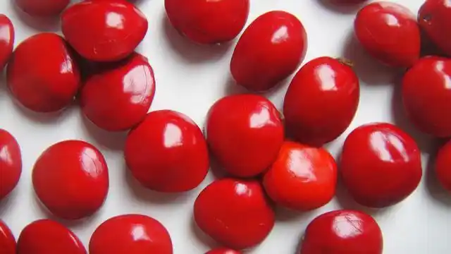 女人的红豆是什么意思(女人梦见种红豆是什么意思)-mingkun百科