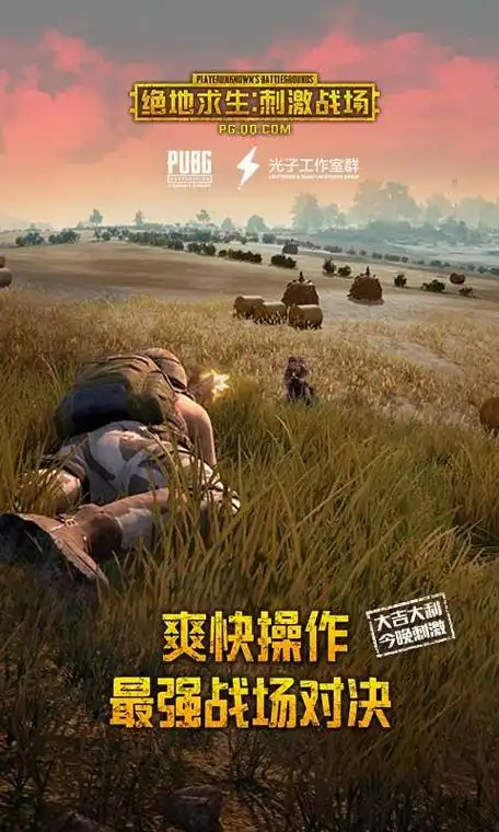 绝地求生:刺激战场