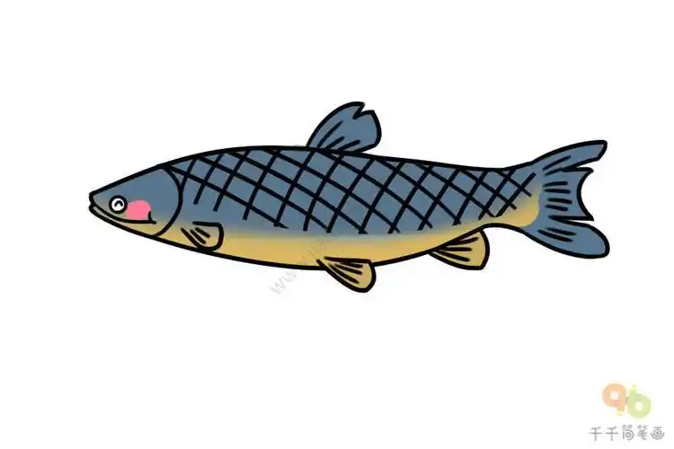 草鱼黑白简笔画法