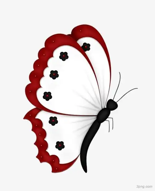 花边蝴蝶png素材透明免抠图片卡通手绘