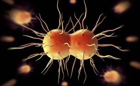 印度暴发罕见尼帕病毒病 深圳海关提醒出境游谨防感染