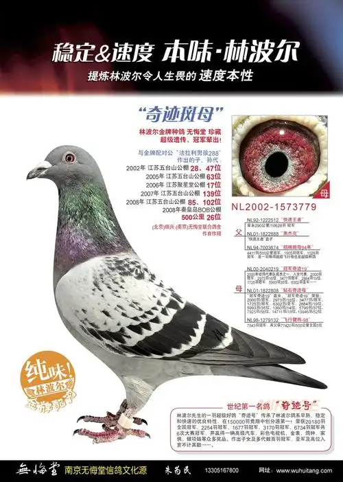 林波尔 奇迹斑母