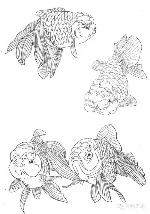 工笔画线描花鸟画谱:金鱼篇