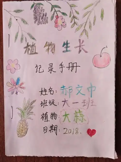 植物生长观察记录6.