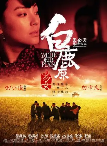 《白鹿原》张丰毅,张雨绮,吴刚,段奕宏,成泰燊,刘威,郭涛等国内一线