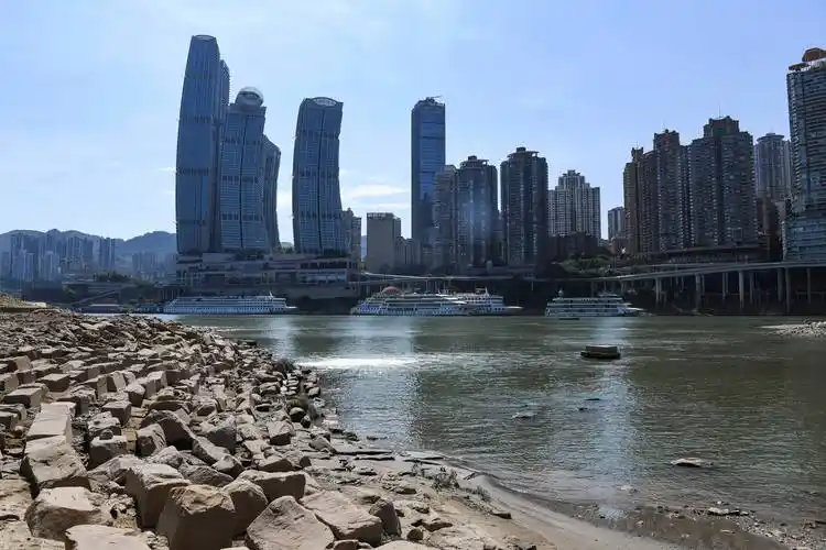 这是8月17日拍摄的重庆嘉陵江千厮门大桥一带景象(无人机照片).