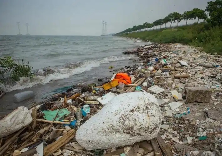 海洋垃圾污染是一个世界范围内日益严重的问题,但是目前少有相关人士