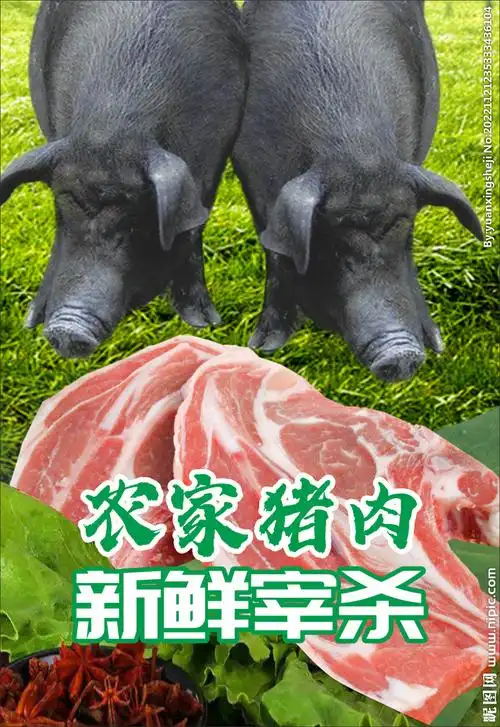 农家猪肉 新鲜宰杀设计图__海报设计_广告设计_设计图库_昵图网nipic.