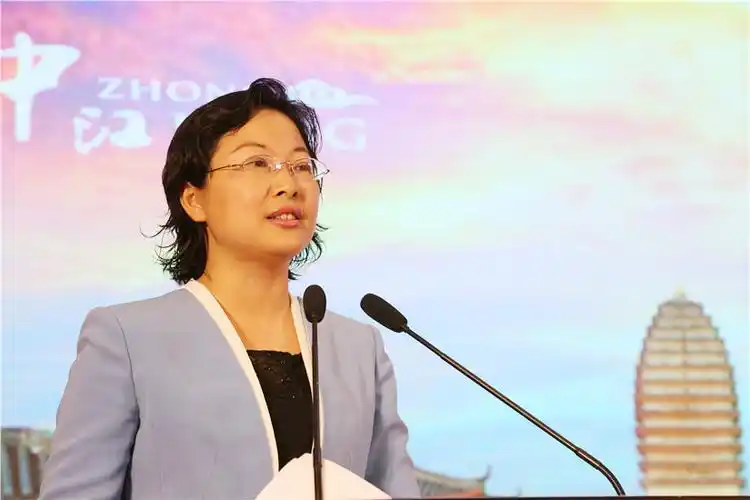 中共中江县委副书记,县长李霞推介中江发布会上,李霞向全体与会者介绍