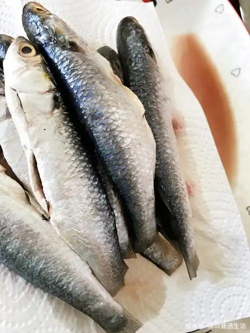 煎斋鱼,蒸腊肉,开学之前储营养