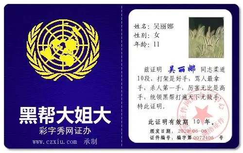 黑帮大姐大_彩字秀网证办