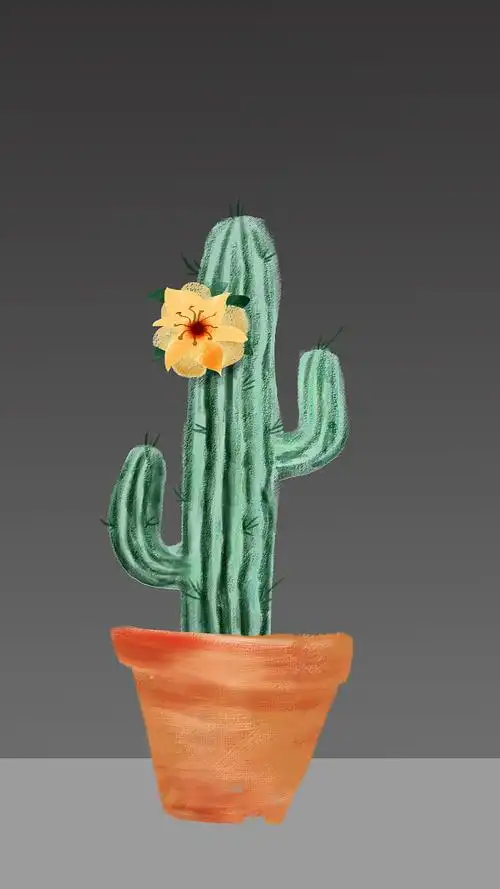 0 0 成都  |  平面设计师 周末闲来无事手绘仙人掌花 原创  -  插画