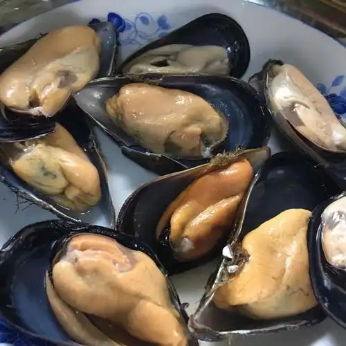 成都海鲜,鲜青口贝 鲜活 下酒菜海虹 壳菜 青口 海鲜食品 500g