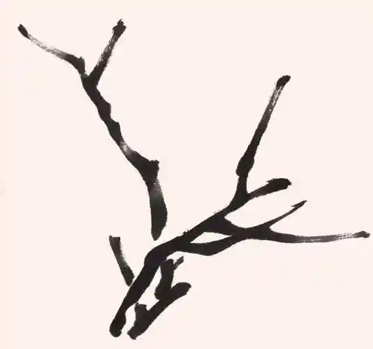 花卉梅花的画法(梅花的花的画法) - 趣味头条