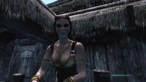 《上古卷轴5》女npc 各种女npc一览