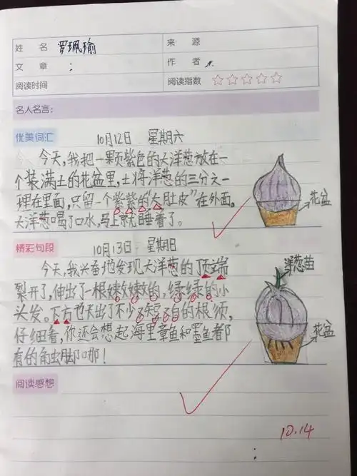 辰小4.4观察日记系列—发芽篇①