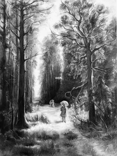 素描树步骤图分享