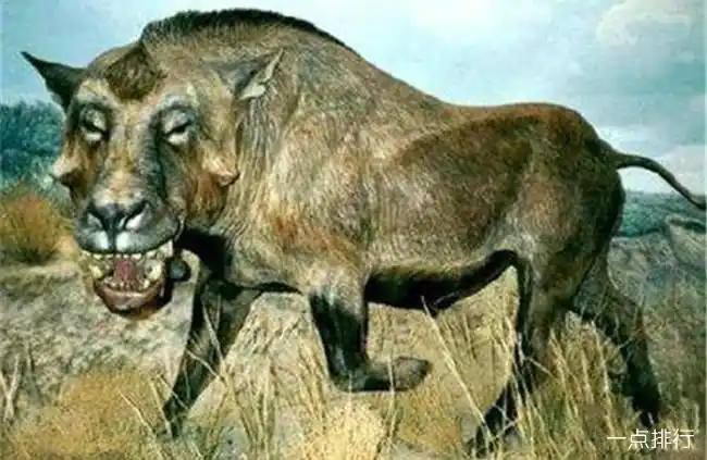 世界十大灭绝动物名单 已经灭绝的动物有哪些