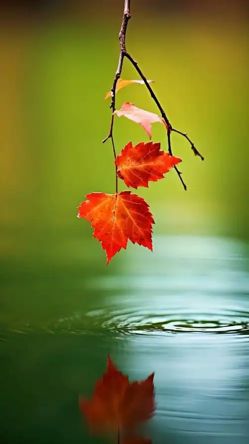 "只有心灵达到宁静,安稳境界后,人才能够洞察万物之规律,这时考虑问题