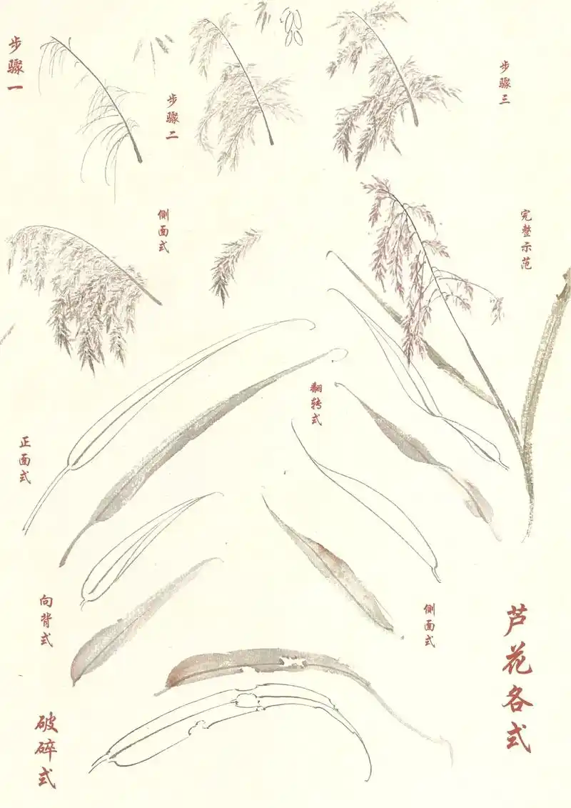 芦苇各式画法.风飘细雪落如米,索索萧萧芦苇间#没骨画 #画画 - 抖音