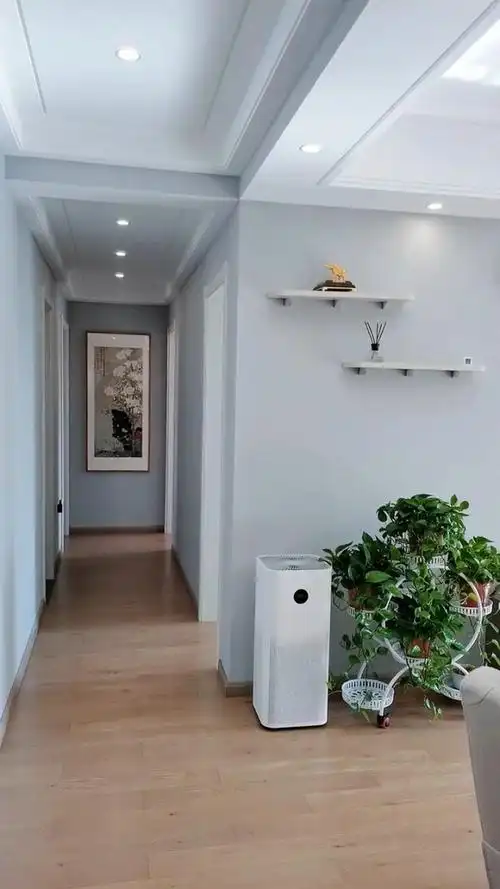 评论最多的是我家走廊吊顶,单边有梁,围绕用石膏板做对称假梁,双眼皮