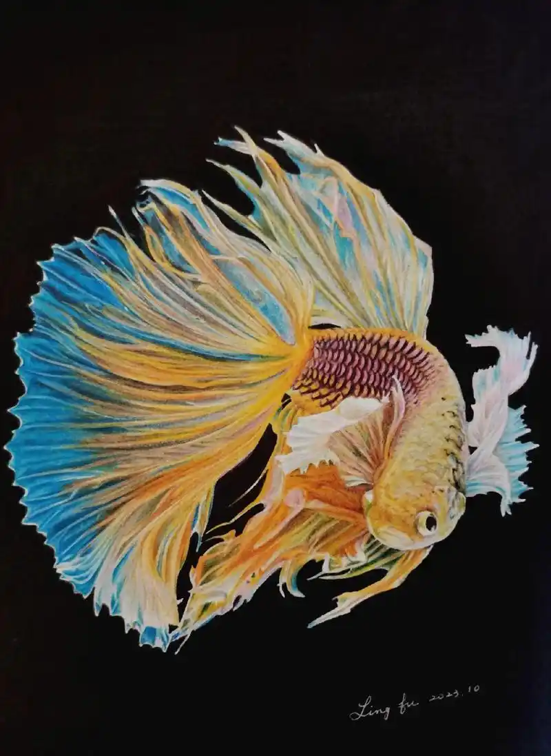 彩铅手绘:泰国斗鱼#画画 #手绘 #一起学画画 #彩铅 #鱼 - 抖音