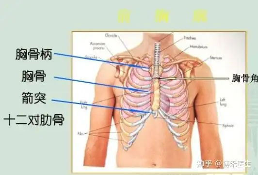 男右胸上方隐隐作痛怎么治疗 - 知乎