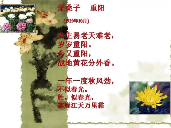 采桑子重阳参考课件