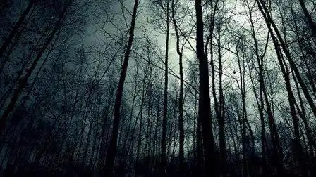 小涛电影解说:6分钟带你看完韩国惊悚恐怖电影《黑暗森林》