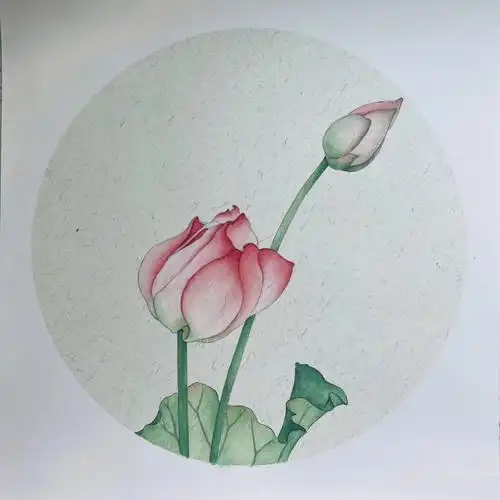 写生工笔荷花20有步骤