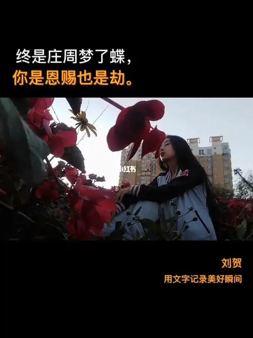 终是庄周梦了蝶你是恩赐也是劫