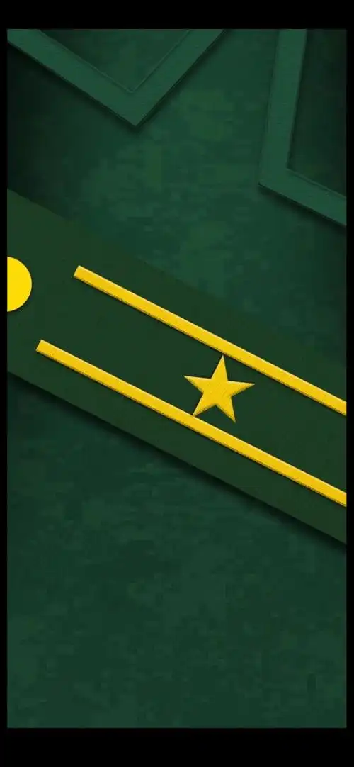 要高清的谢谢大家(手机壁纸|人民武警军衔等级肩章系列全套手机壁纸)