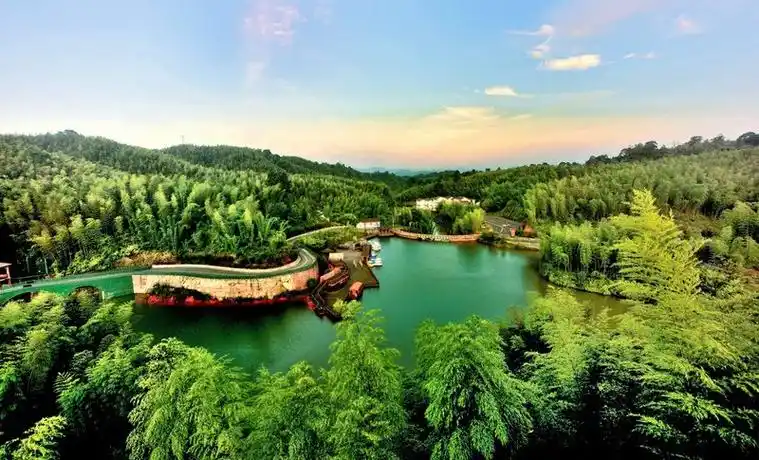 赤水竹海国家森林公园.王茂祥 摄.jpg