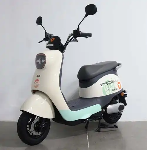 雅迪牌yd600dqt-35a电动两轮轻便摩托车公告图片
