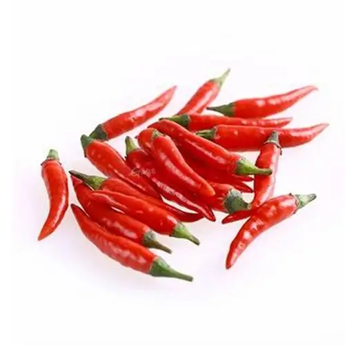 本来精选 小米辣 100g本来生活水果蔬菜