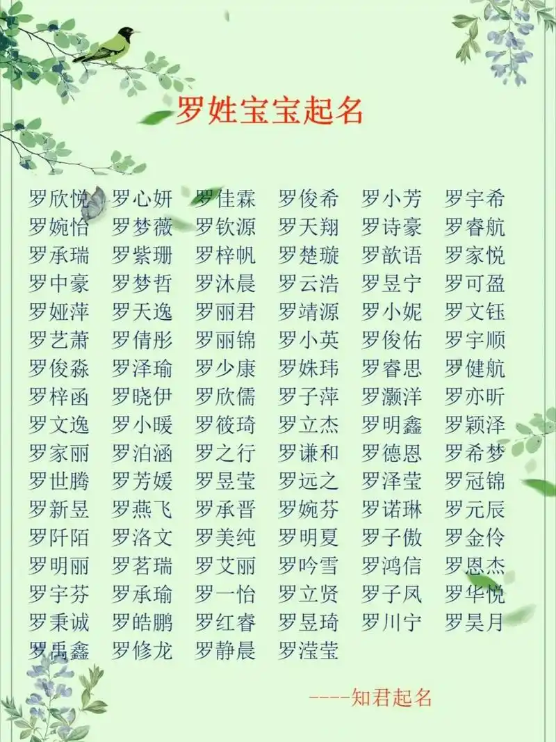 罗姓宝宝起名|男孩女孩取名改名名字大全 969696罗姓男孩女孩