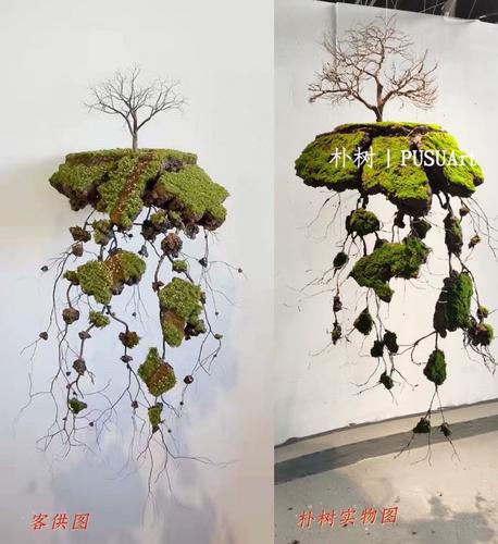 朴树新中式悬浮石松树苔藓植物树酒店会所售楼处橱窗角落景观制作