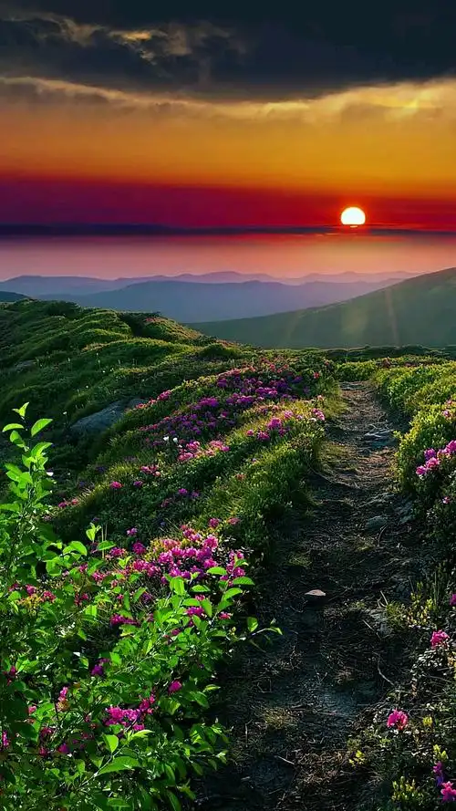 #唯美意境#那个时候就流行这些歌曲,怀念那个时候,没有什么圧力.但我