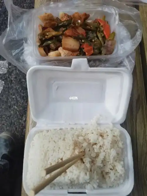 工地十块钱一份的盒饭
