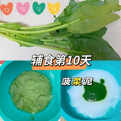 6m辅食day10第三天菠菜泥02