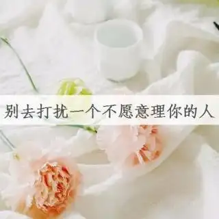 听语别去打扰一个不愿意理你的人