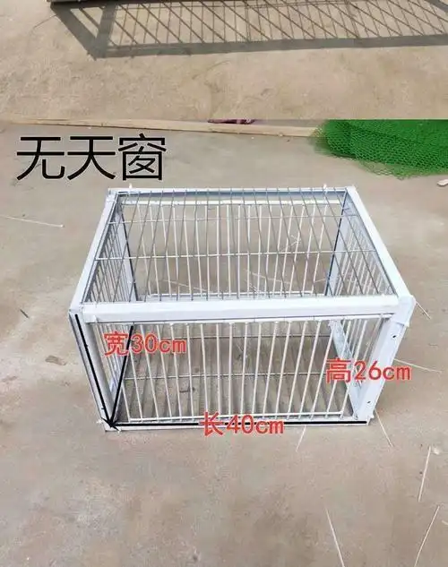 收鸽笼捕鸽神器抓鸽子笼全自动天落笼大全收鸽笼自动只进不出撞门跳门