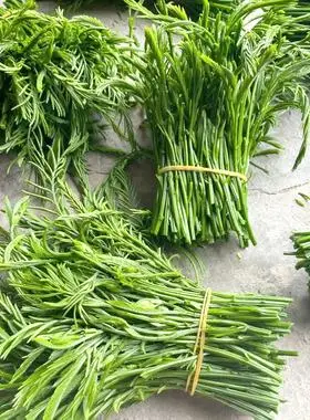 包邮云南傣族臭菜 野菜合金欢泰国吃播臭菜 新鲜帕哈煮鸡蛋250克